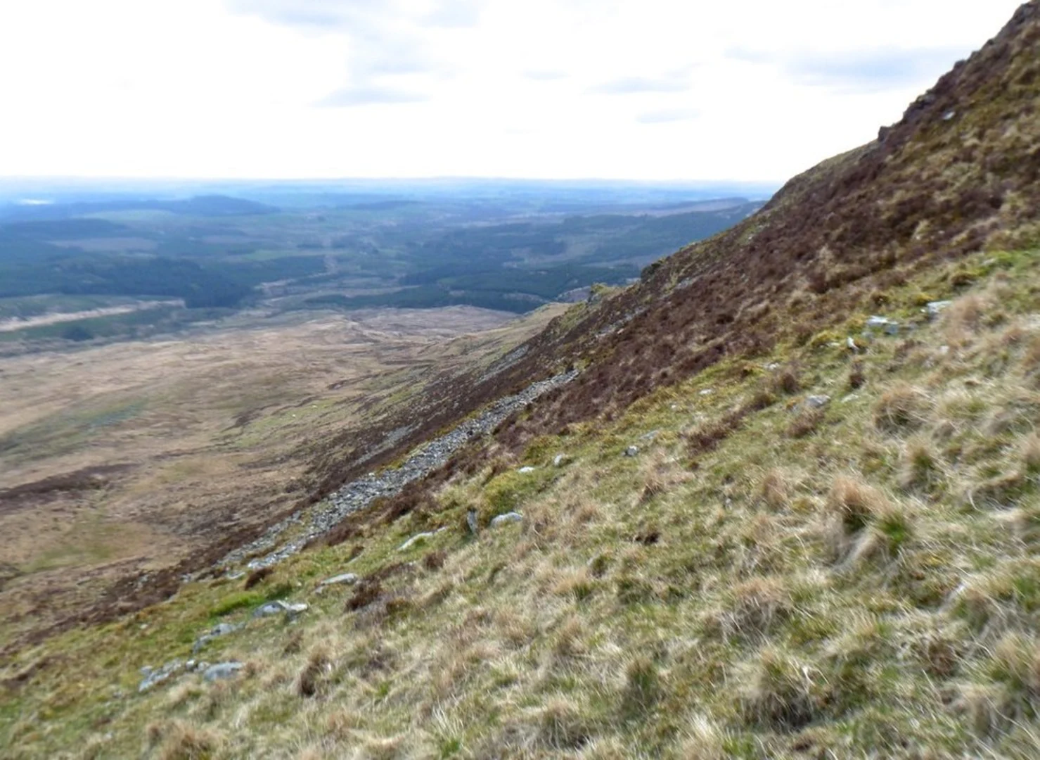 An image depicting the trail Lamachan Hill Loop and its surrounding area.