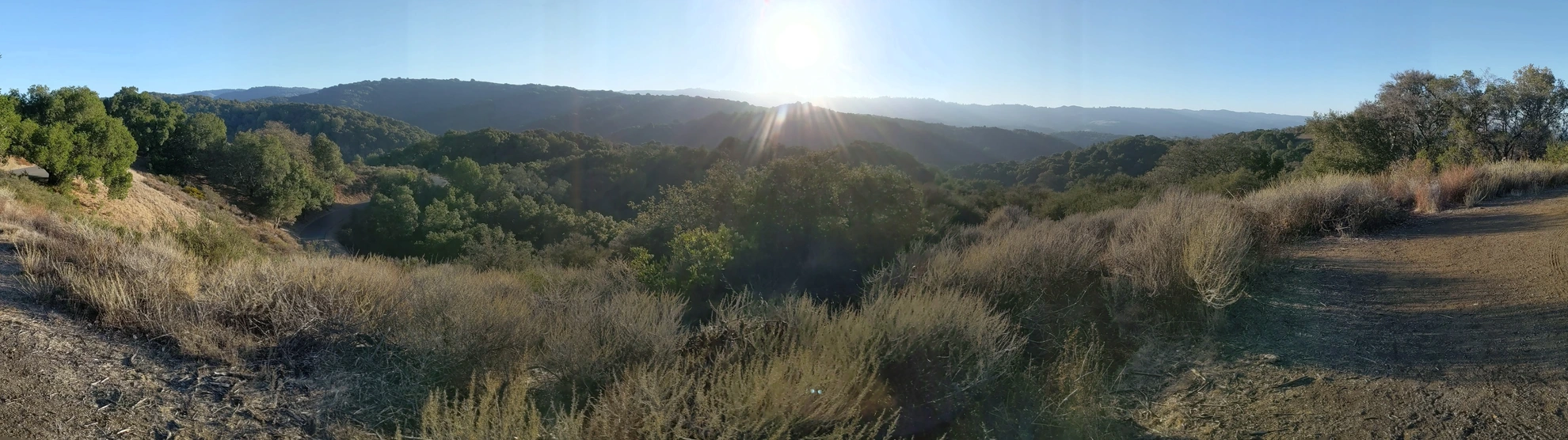 An image depicting the trail Steep Hollow and Los Trancos Loop Trail and its surrounding area.