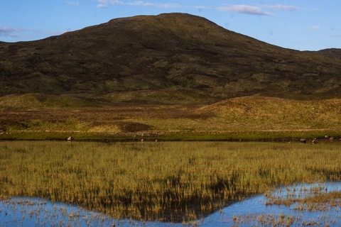 Stob a'Choire Odhair from Bridge of Orchy