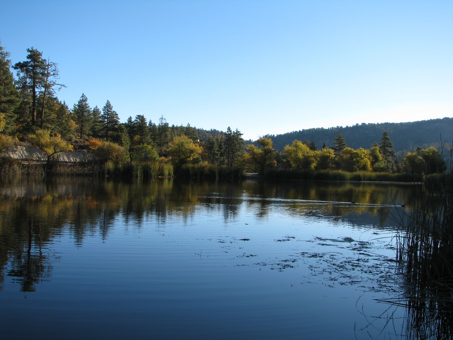 An image depicting the trail Vincent Gulch from Jackson Lake and its surrounding area.