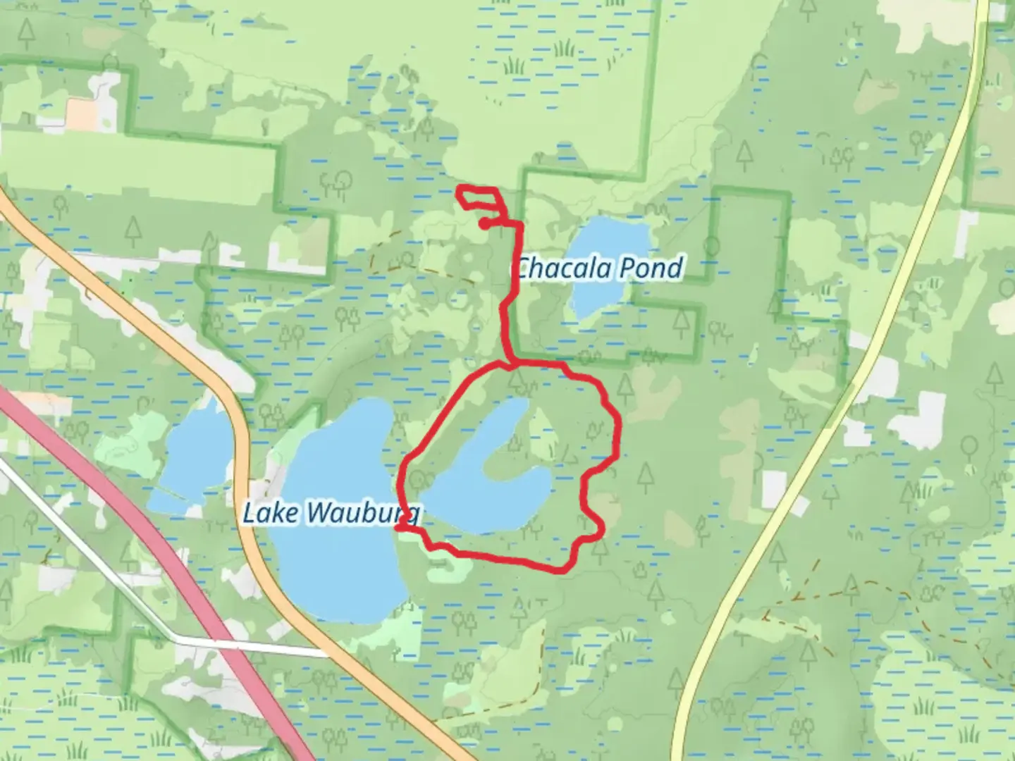 An image depicting the trail Wacahoota Trail and Sawgrass Pond Loop and its surrounding area.