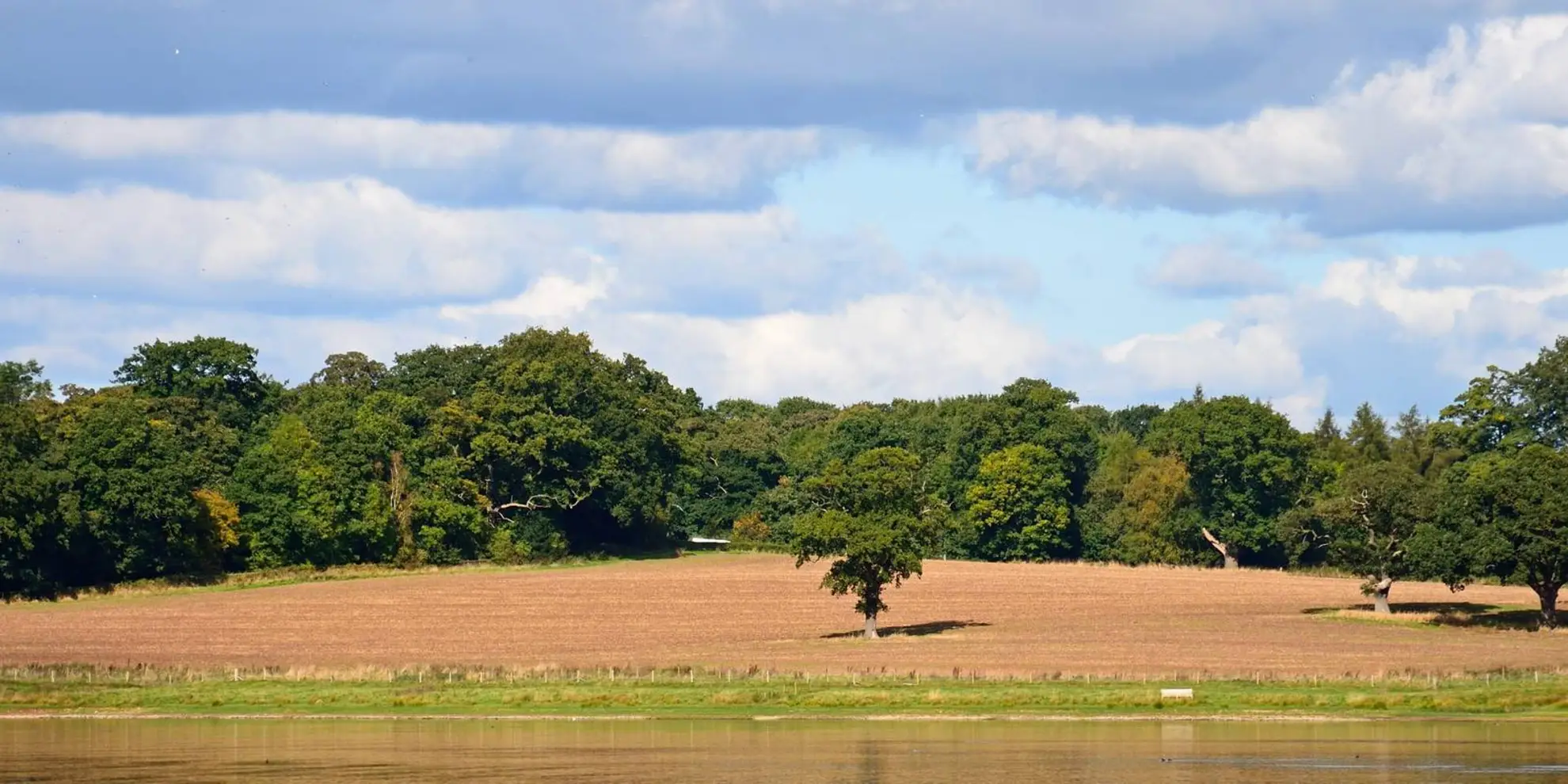 An image depicting the trail Blithfield Estate Circular and its surrounding area.