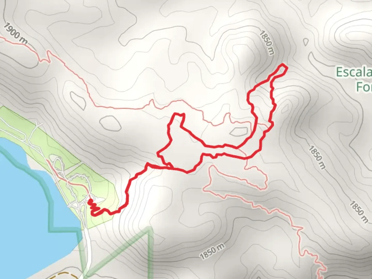 An image depicting the trail Petrified Loop and its surrounding area.