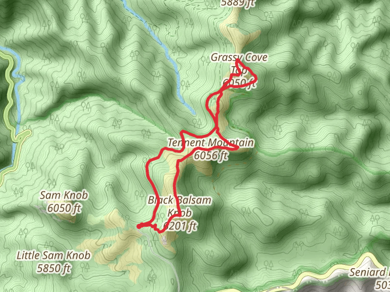 Tennent Mountain and Grassy Cove Top via Ivestor Gap and Black Balsam Summit Loop Trail