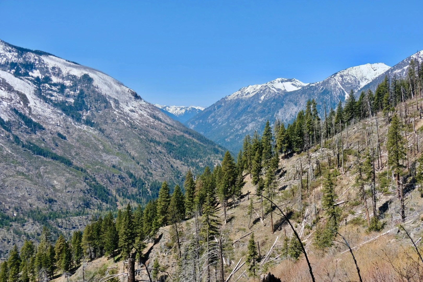 An image depicting the trail Icicle Ridge Trail and its surrounding area.