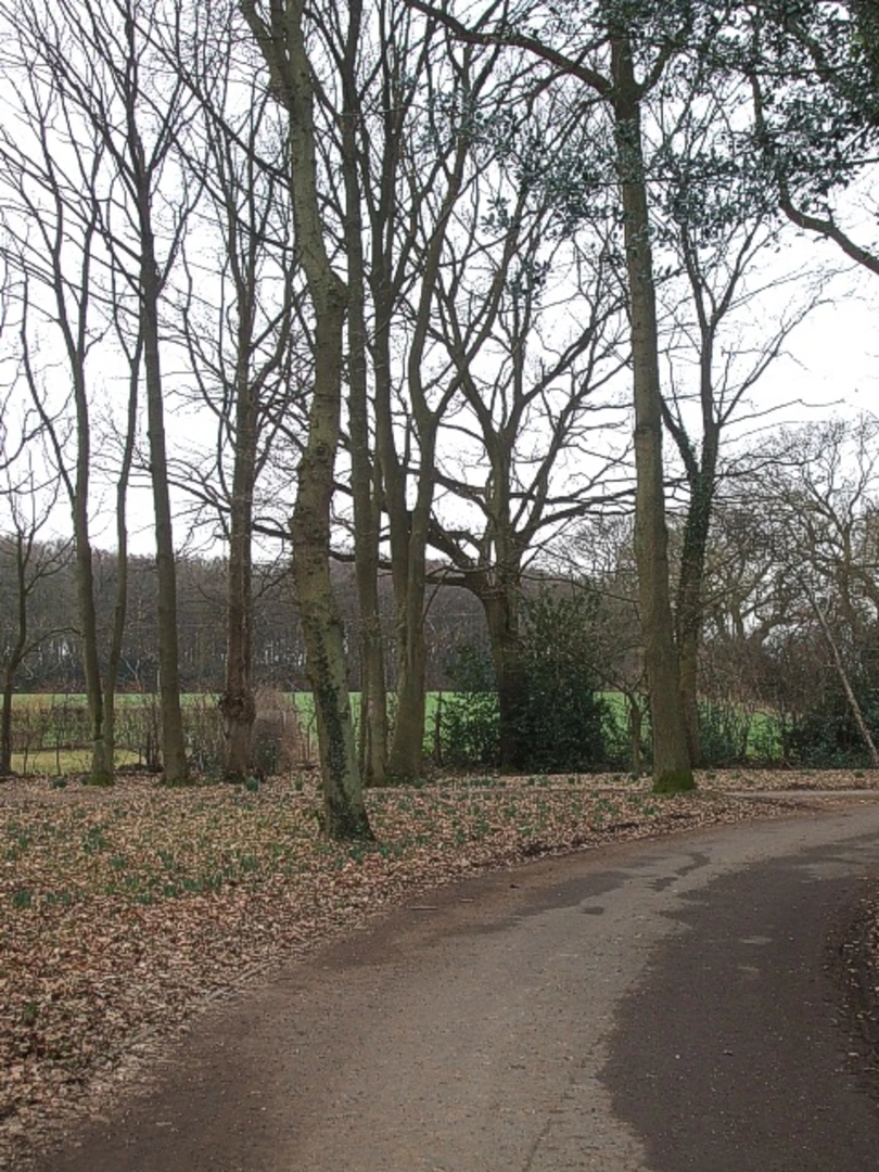An image depicting the trail Widow Croft Loop and its surrounding area.