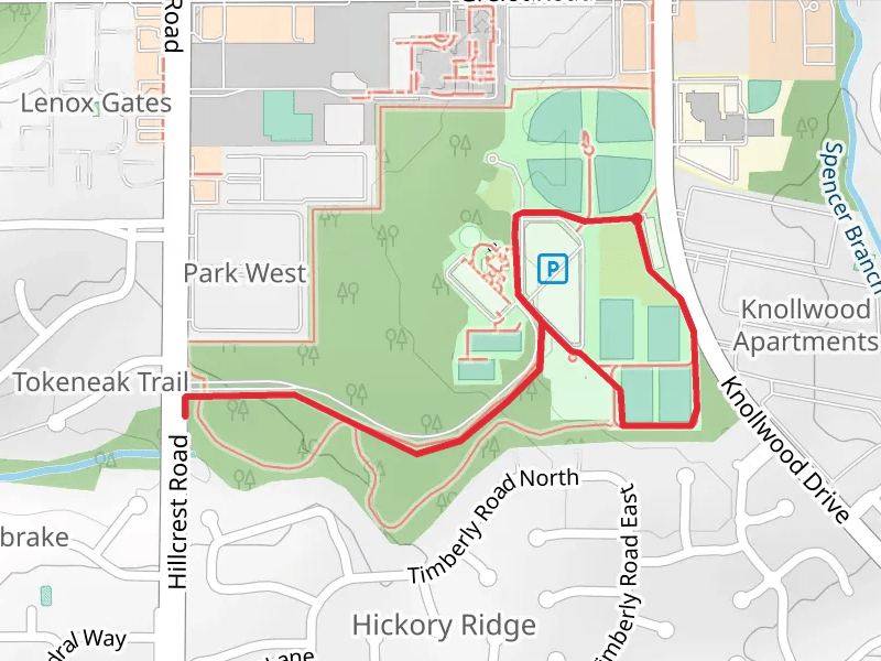 The T Loop