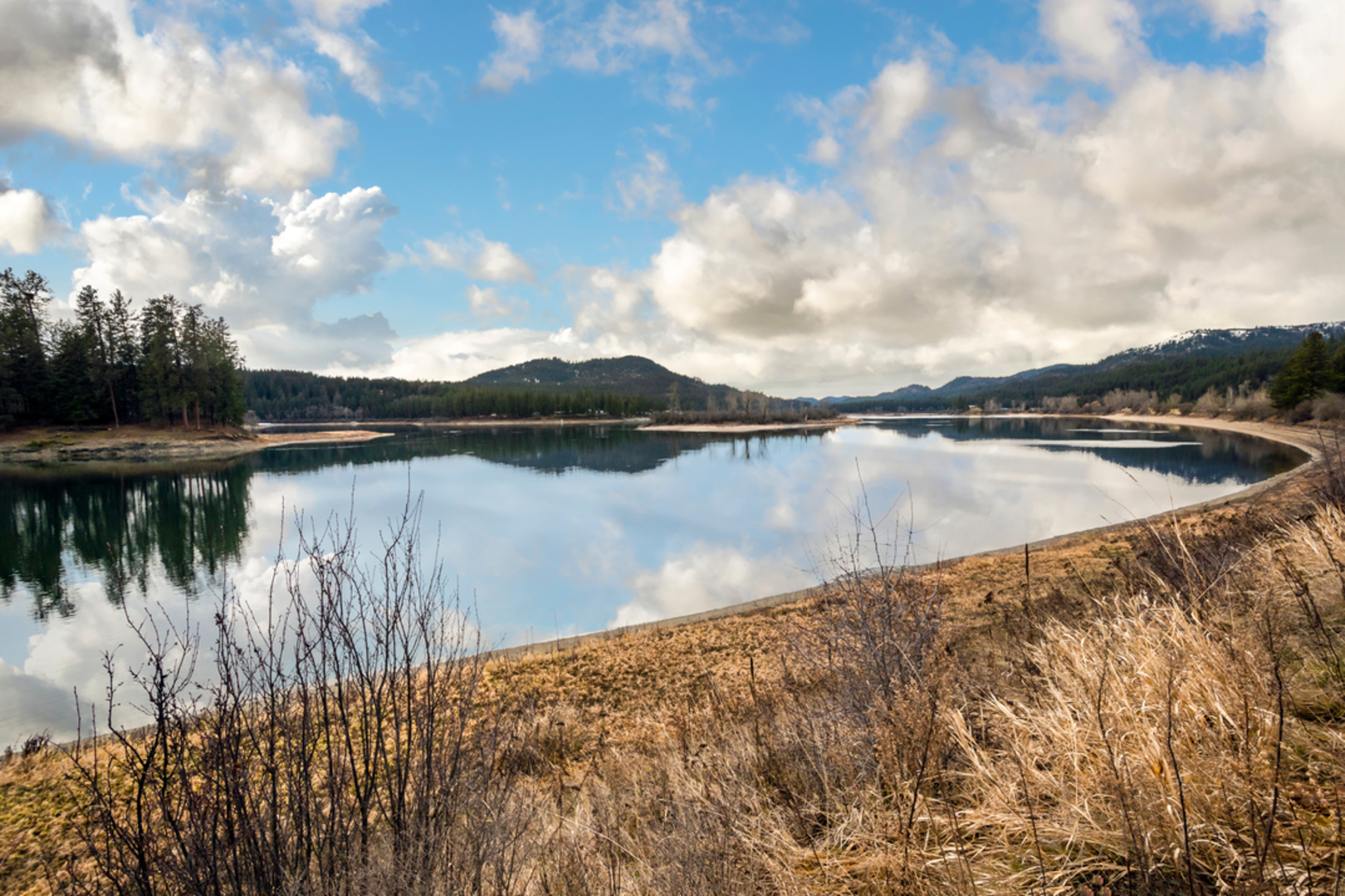 An image depicting the trail Pioneer Park Trail and its surrounding area.