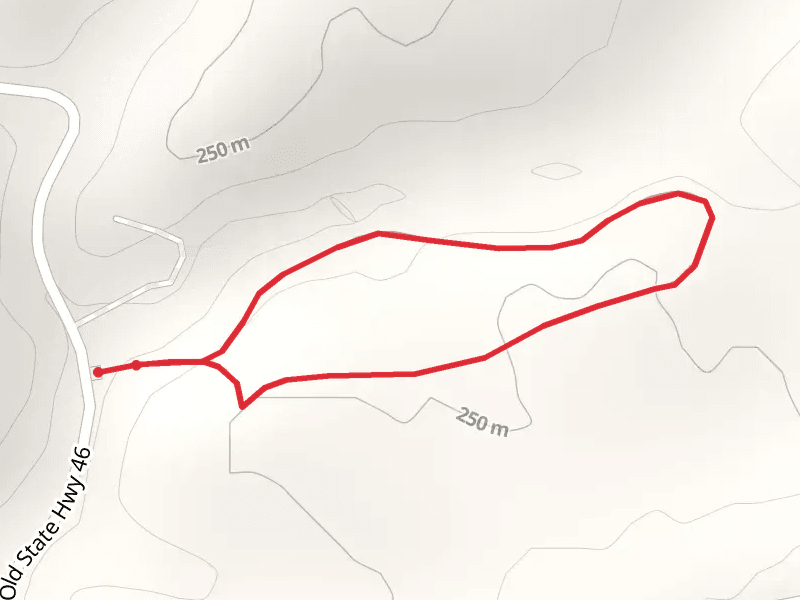 Old State Road Loop
