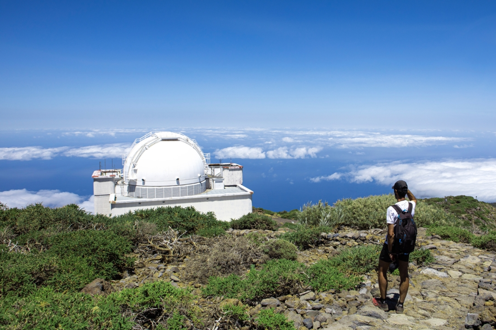 An image depicting the trail Pico de la Cruz Trail and its surrounding area.
