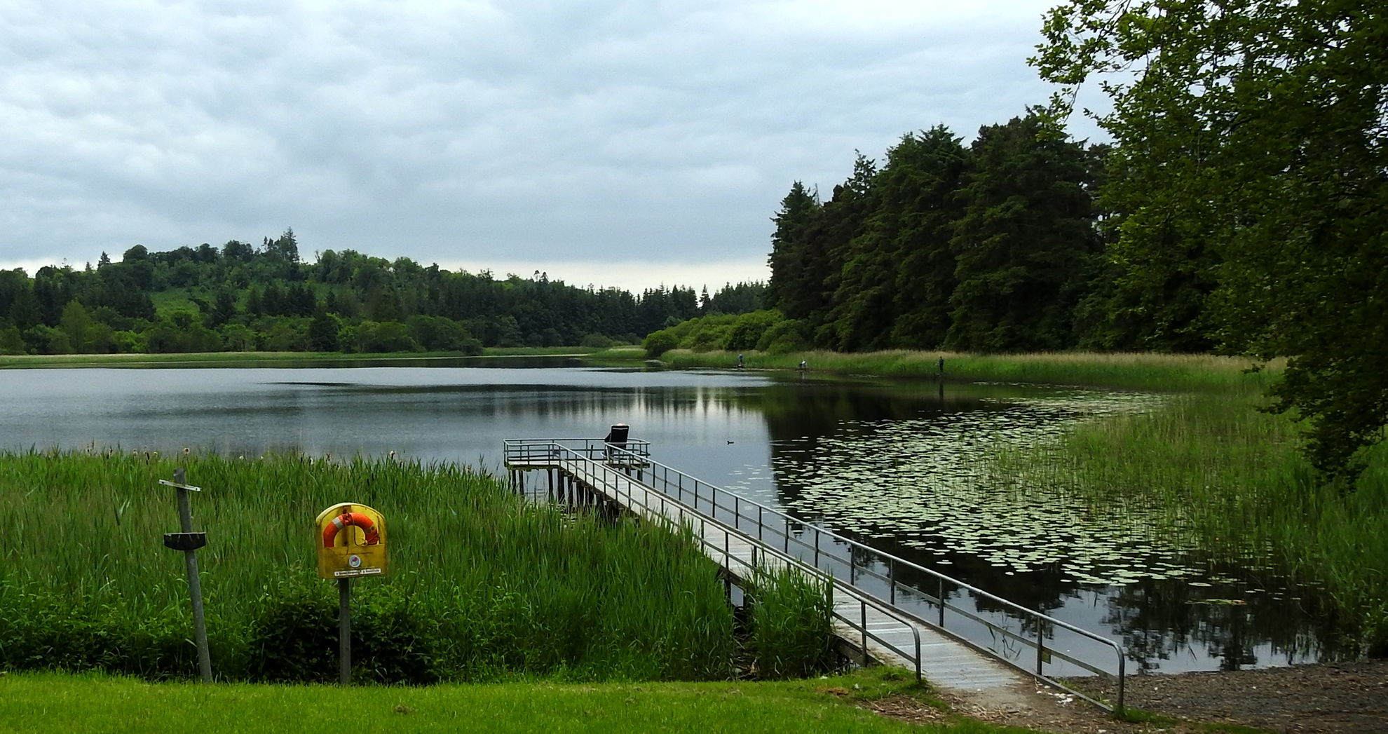 An image depicting the trail Bailieborough Castle Lake Loop - PJ's Way and its surrounding area.