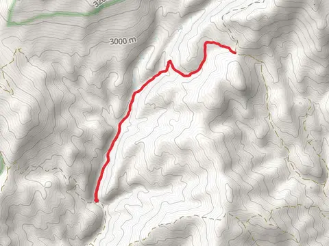 Alder Creek Trail