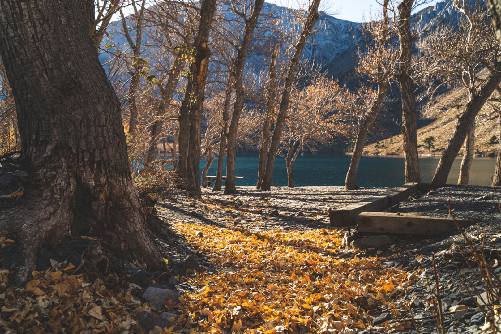 An image depicting the trail Convict Lake and Dorothy - Bighorn Lake Trail and its surrounding area.