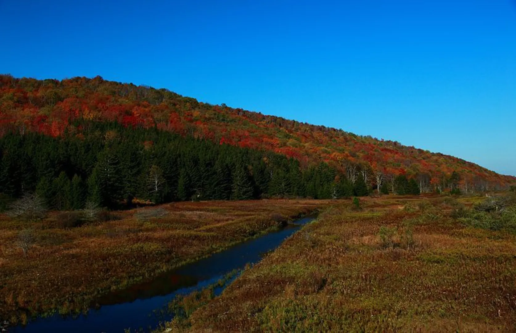 An image depicting the trail Spruce Knob Lake Loop Trail and its surrounding area.
