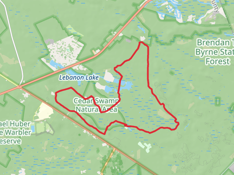 Batona Trail and Mount Misery Trail