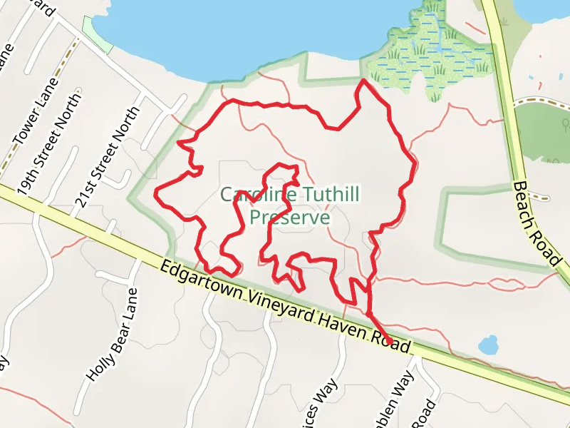 Caroline Tuthill Preserve Loop Trail