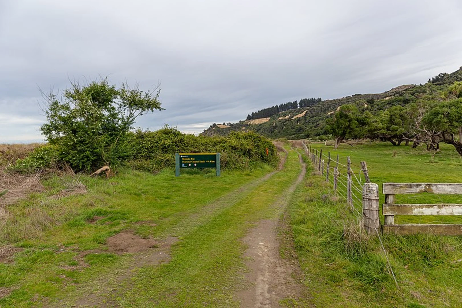 An image depicting the trail Manuka Bay Track and its surrounding area.