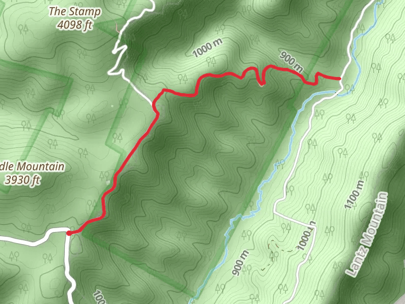 Straight Fork Trail