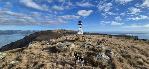 Godley Head Loop Track