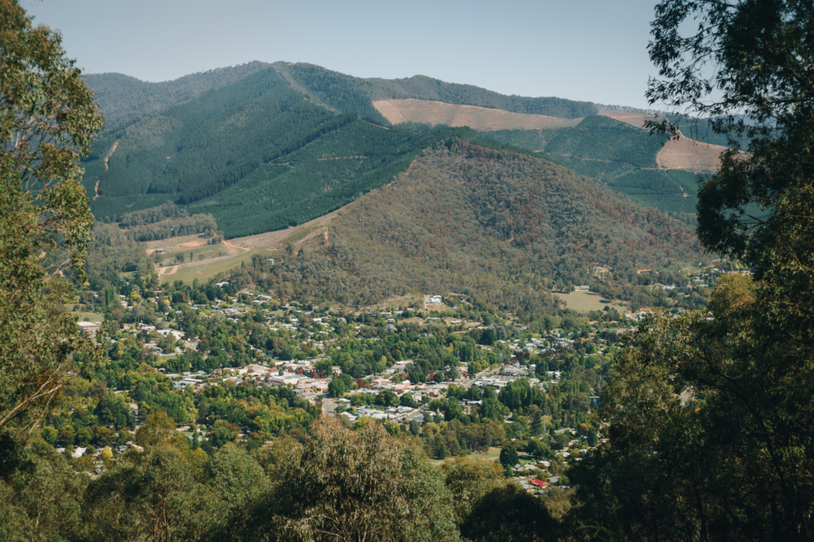 An image depicting the trail Apex Lookout Walk and its surrounding area.