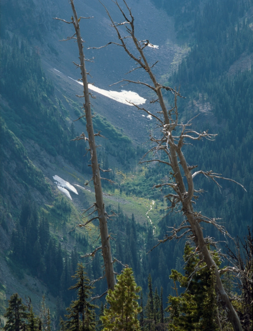 An image depicting the trail Esmerelda Basin Trail and its surrounding area.
