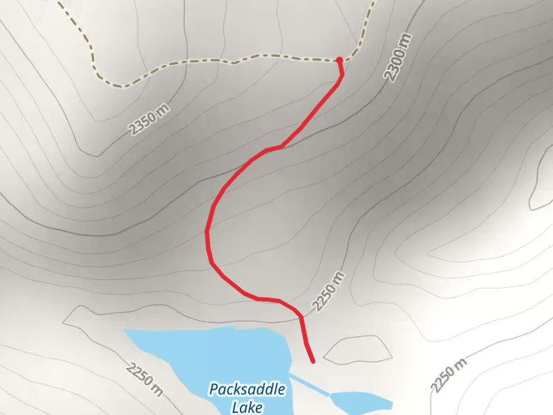 Packsaddle Lake Out and Back