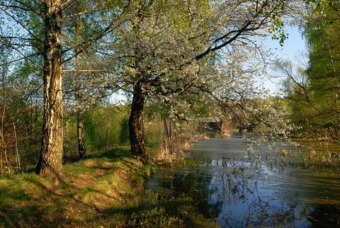 Blankenberg and Waldhaus Weg