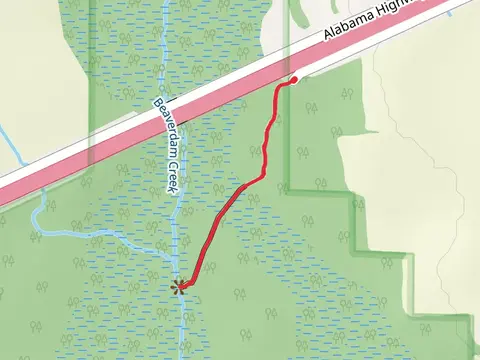 Beaverdam Creek via Beaverdam Boardwalk
