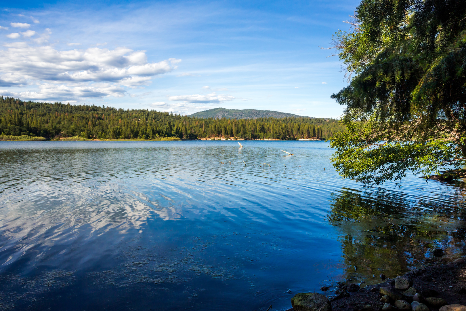 An image depicting the trail Lake Britton Trail and its surrounding area.
