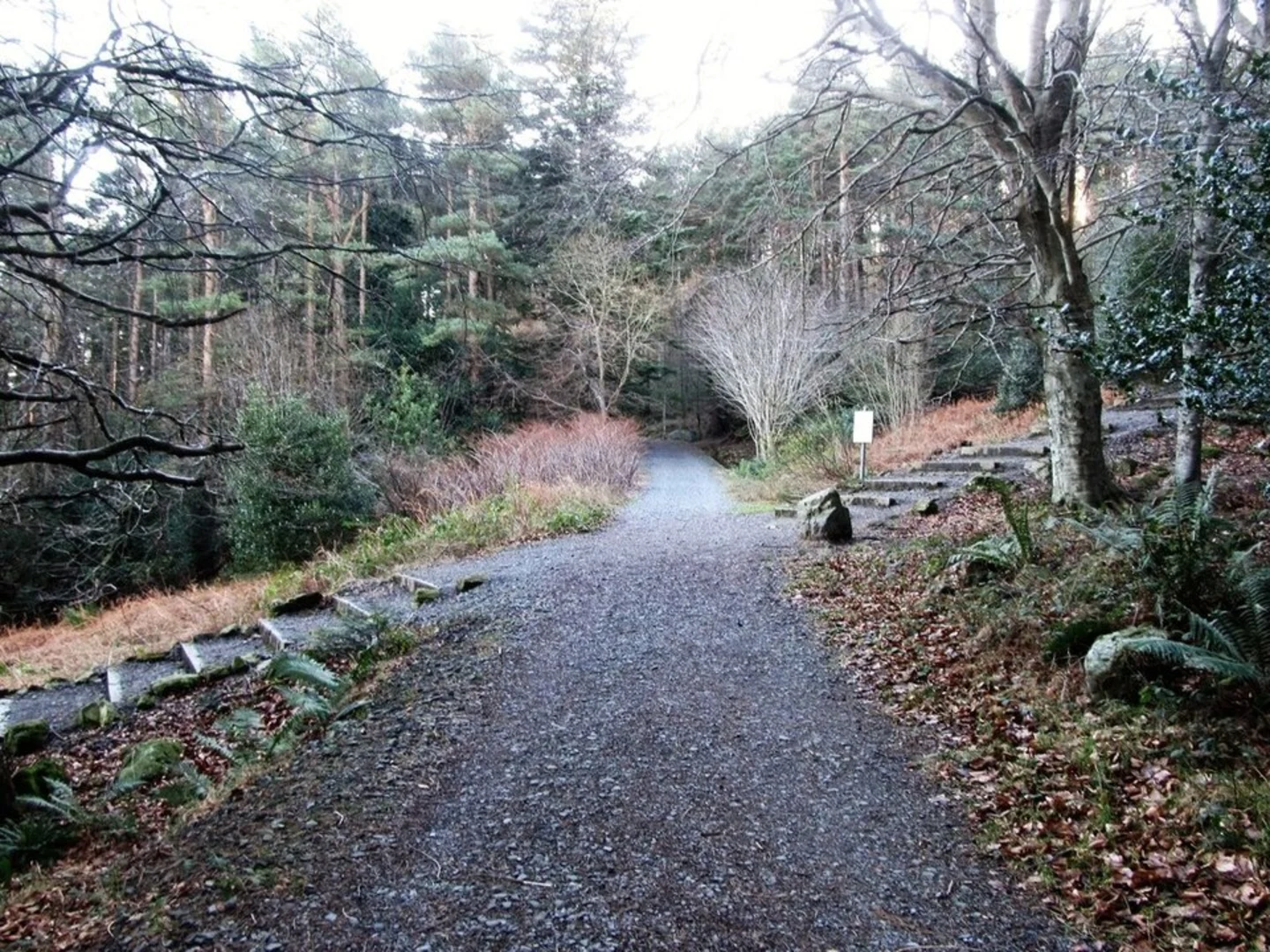 An image depicting the trail Granite Trail - Bogie Line and Drinneevar Loop and its surrounding area.