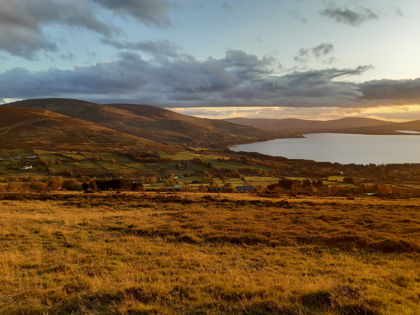 An image depicting the trail Blessington Greenway and its surrounding area.