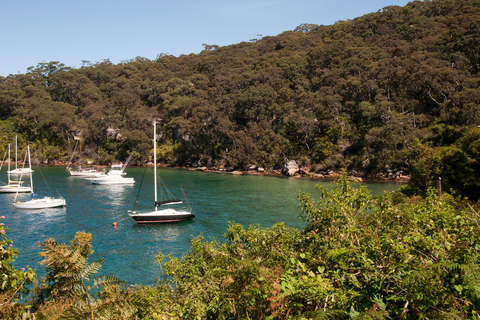Harbour Bridge to The Spit Bridge Track