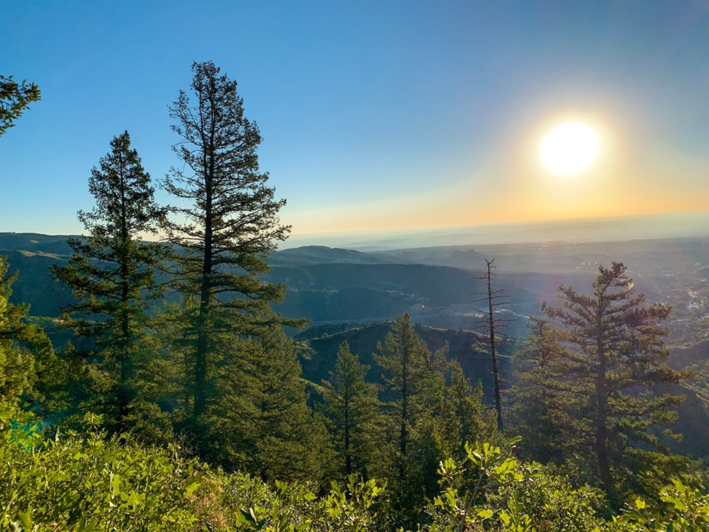 An image depicting the trail Pikes Peak via the Barr Trail and its surrounding area.