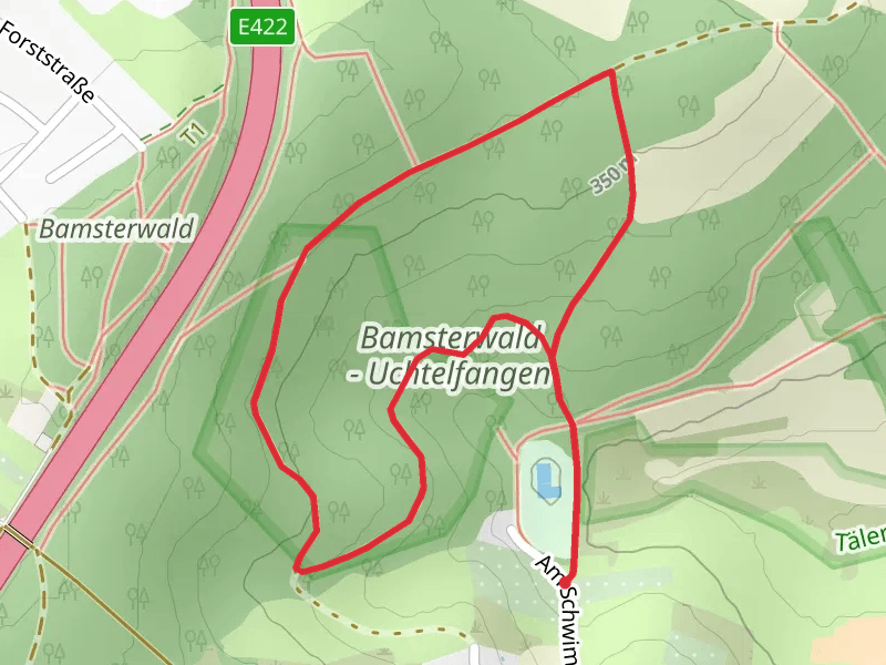 Bamsterwald Uchtelfangen Loop