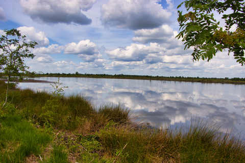 Grebbeberg and Buitenwaarden Loop