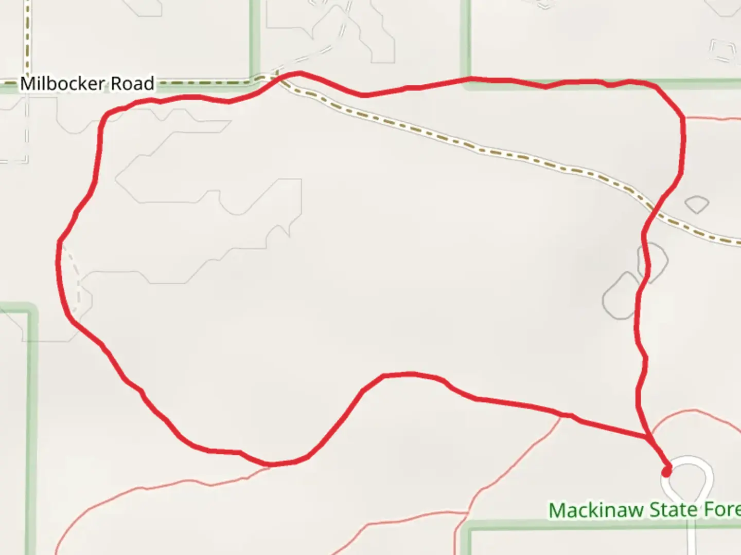 An image depicting the trail Twin Hemlock Loop and its surrounding area.