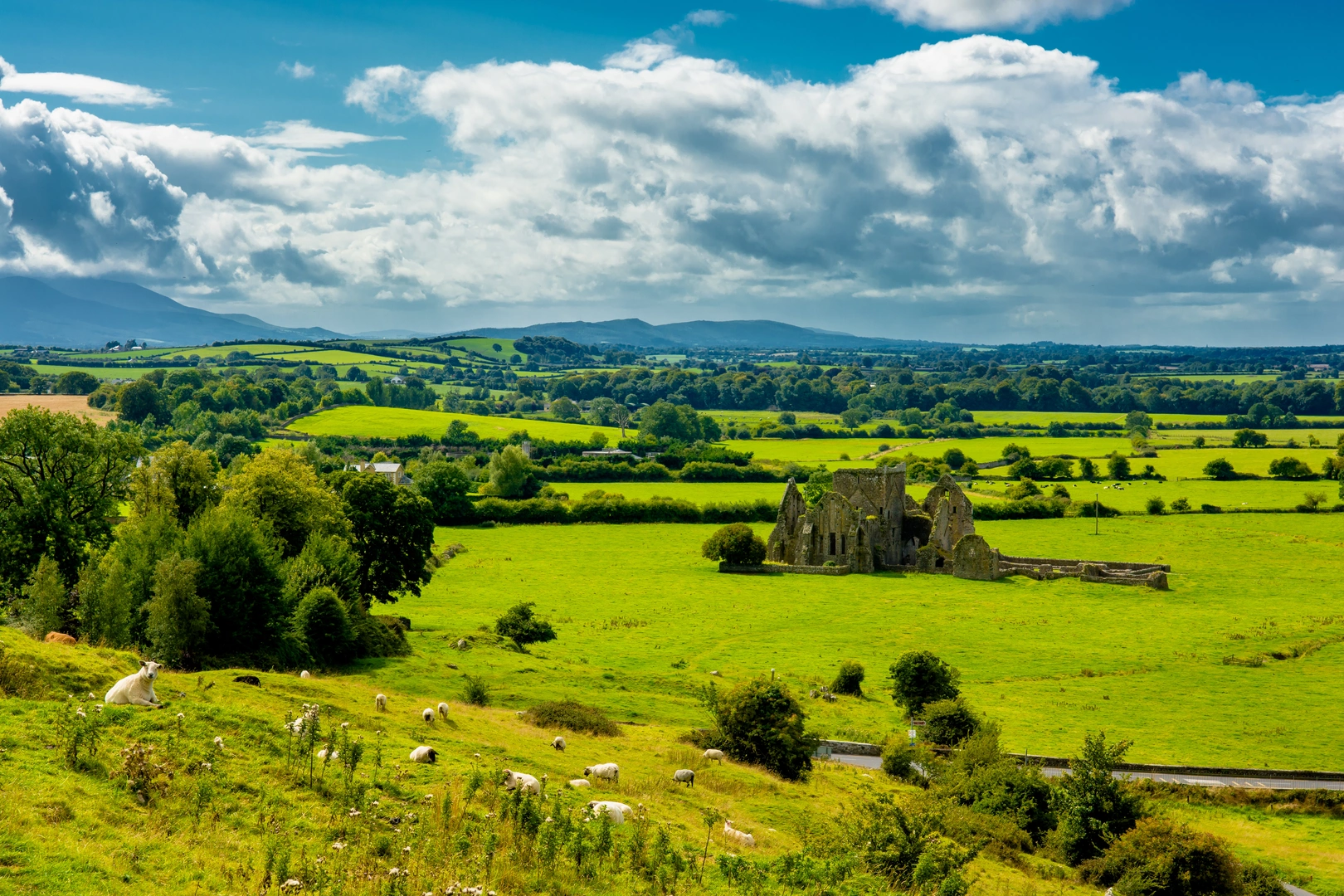 An image depicting the trail Eamon a Chnoic Loop - Upperchurch and its surrounding area.