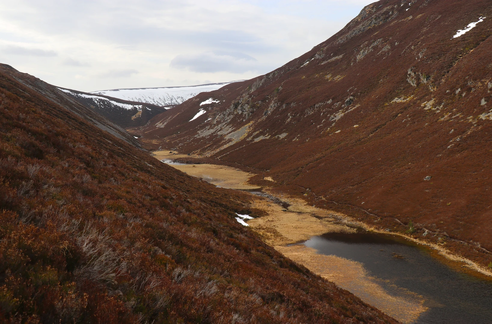 An image depicting the trail Forest of Mar, Clais Fhearnaig and Glen Lui Loop and its surrounding area.