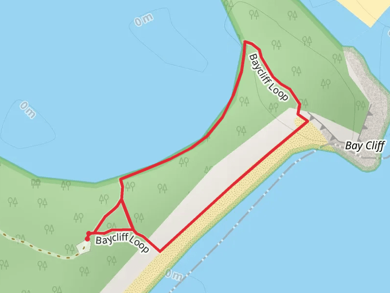 Bay Cliff Track