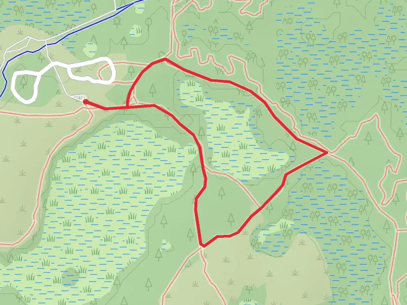Jay B Starkey Wilderness Park Loop