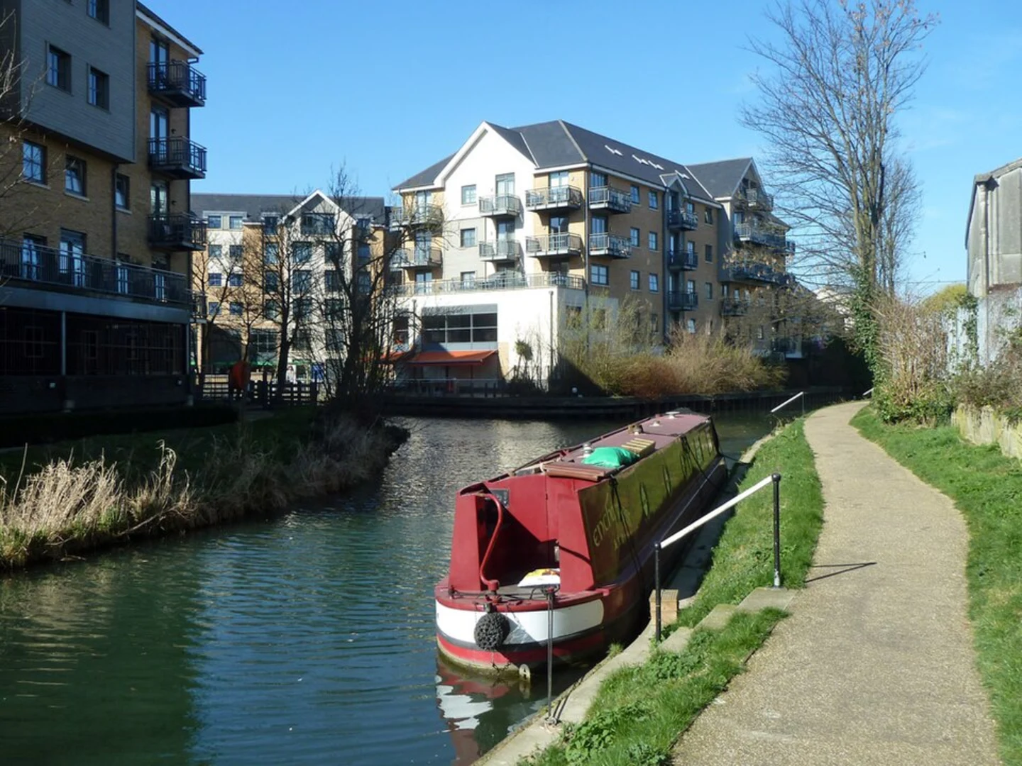 An image depicting the trail Bishop's Stortford Skate Park Loop and its surrounding area.