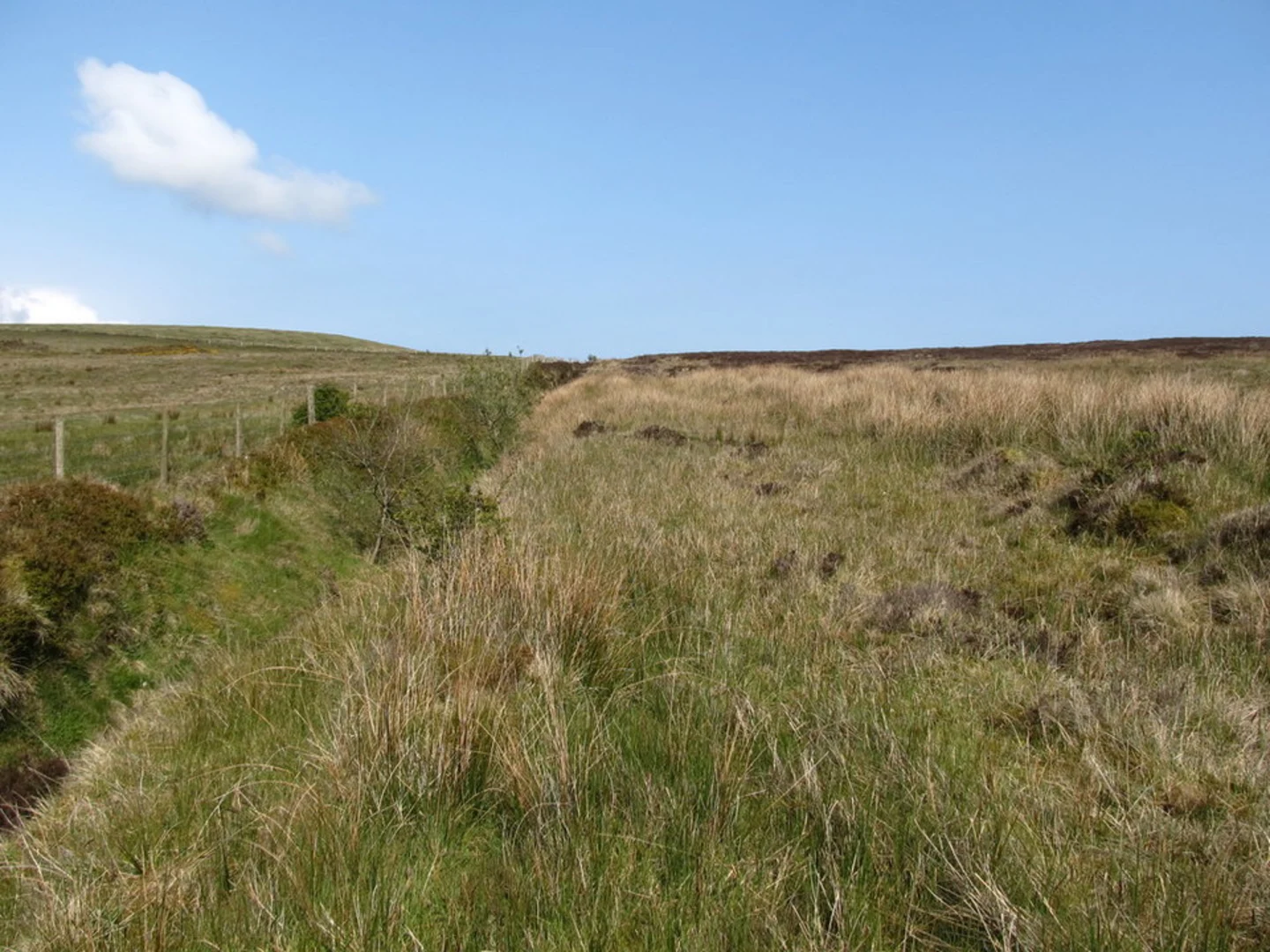 An image depicting the trail Black Mountain and Divis Loop and its surrounding area.