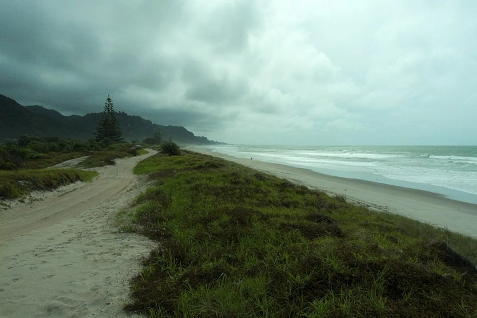 An image depicting the trail Matatā Lagoon Track and its surrounding area.