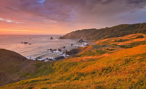 Clifside Trail from Cape Blanco Road