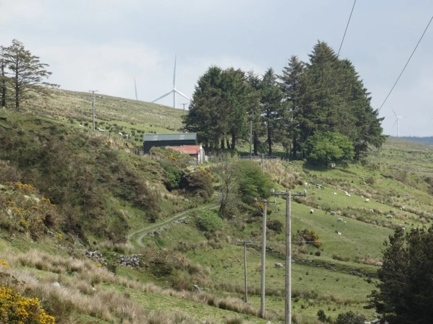 An image depicting the trail Caherbarnagh Mountain Loop and its surrounding area.