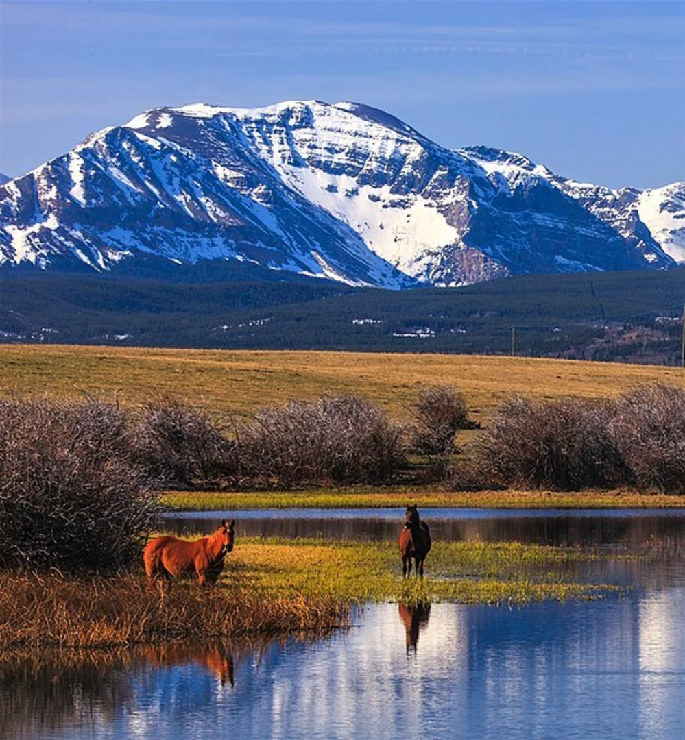 An image depicting the trail NF Belly River via Belly River Trail and its surrounding area.