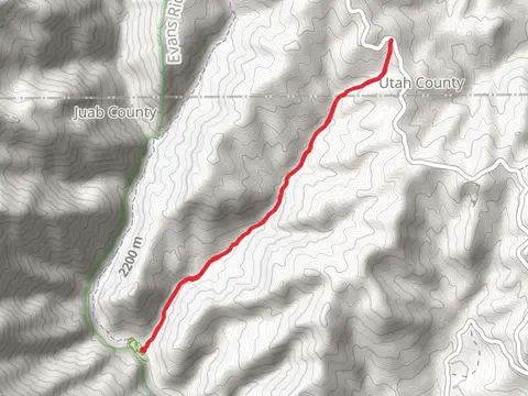Beer Canyon Trail