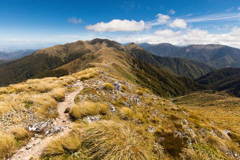 Holdsworth Roadend to Powell Hut - Mount Holdsworth