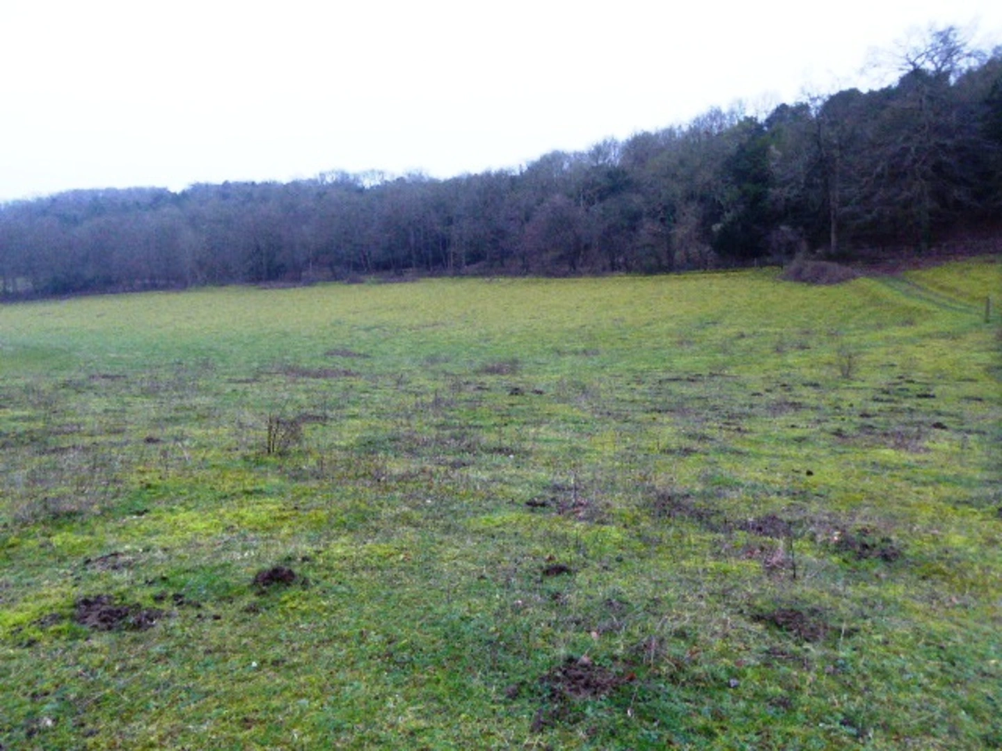 An image depicting the trail Streatley Loop Walk and its surrounding area.