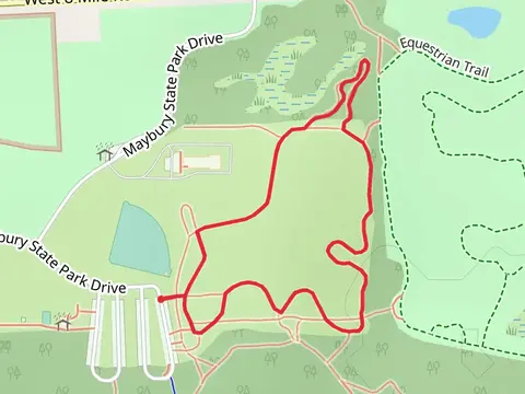 Bluebird Meadows Loop